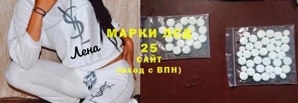 прущие грибы Армянск