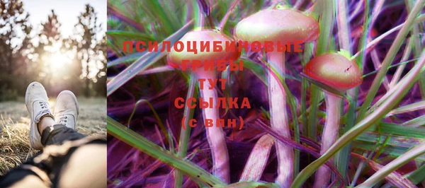 соль курить ск Арсеньев