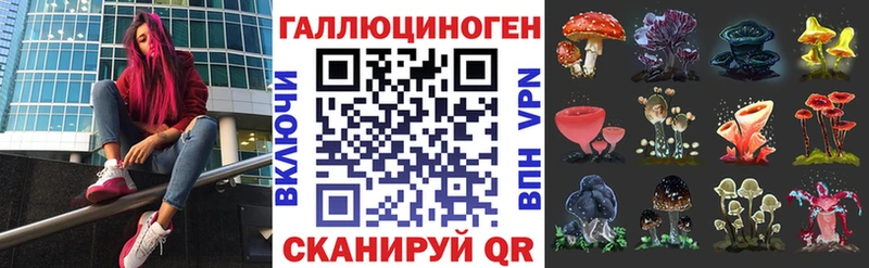 Галлюциногенные грибы Psilocybine cubensis  Снежногорск 
