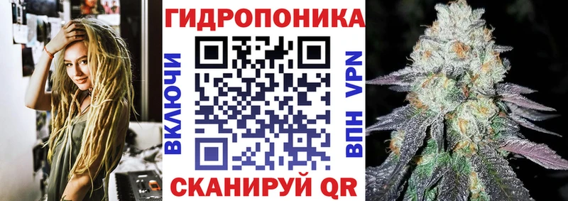 даркнет официальный сайт  Снежногорск  Шишки марихуана VHQ 